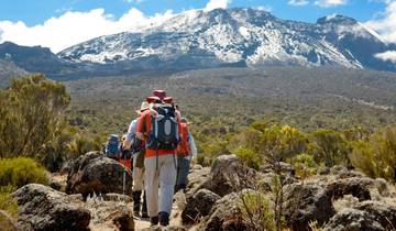 Hikers walking towards a snow-capped mountain.