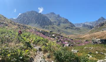 Hiker on a trail with mountains and wildflowers.
