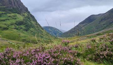 A vista of a valley with wildflowers in the foreground.