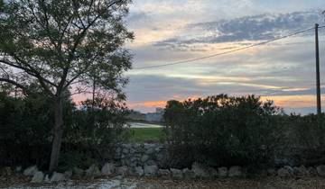 A scenic sunset view over a landscape with trees.