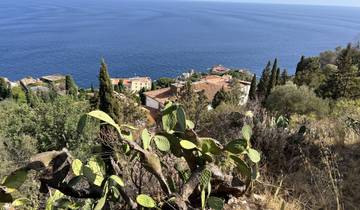 View of a coastal town with cacti and trees.