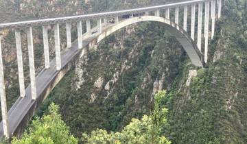 A large bridge spanning a deep forested valley.