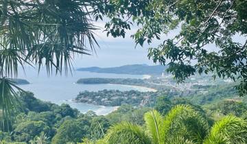 Panoramic view of a coastal city nestled between forests and the sea.