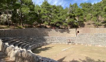 Ruins of an ancient amphitheater surrounded by trees.