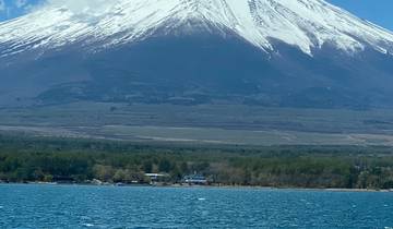 Snow-capped mountain towering over a lake.