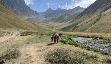 A horse grazing in a mountainous valley.