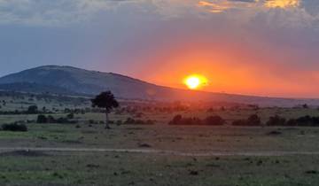 Sunset over a savannah landscape.