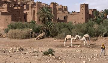 Ancient Moroccan buildings with camels in the foreground.