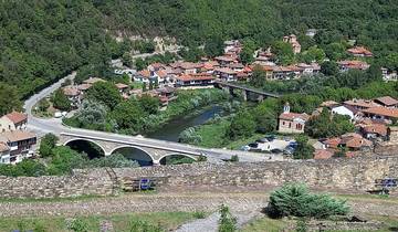 Panoramic view of a town with a river and bridge, surrounded by greenery.