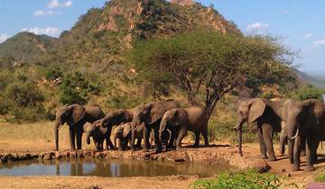 A herd of elephants drinking from a watering hole with hills in the background.