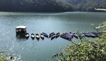 Boats aligned on a lake with a forested backdrop.