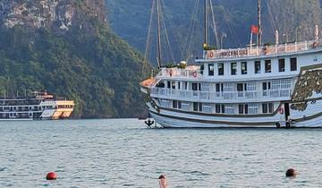 Tour boats on a serene bay with people swimming.