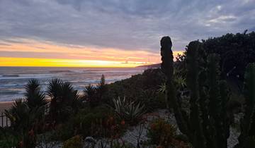 Sunset view over a coastline with cacti in the foreground.