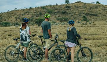 Cyclists viewing zebras on a safari