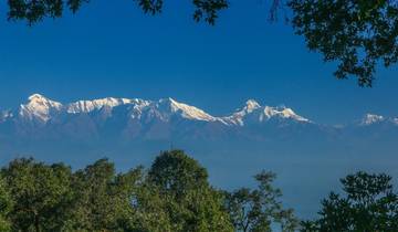 Snow-capped mountain range framed by lush green foliage.