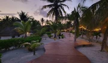Palm trees and lights along a beach boardwalk at dusk.