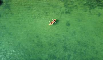 Kayaker on a green body of water