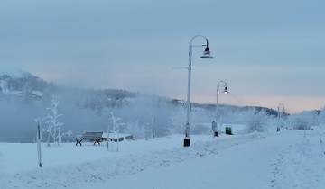 Snow-covered path with benches and streetlights on a foggy day.