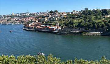 A panoramic view of a city by a river with green trees in the foreground.