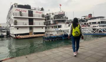 Person walking on a pier towards moored cruise ships.