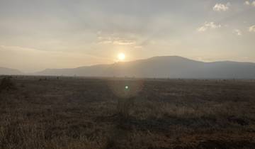 Sunset over a savannah landscape.