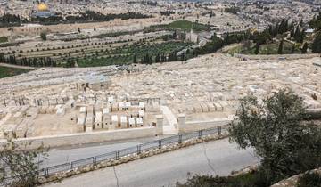 A cemetery on a hillside with a city view in the distance.