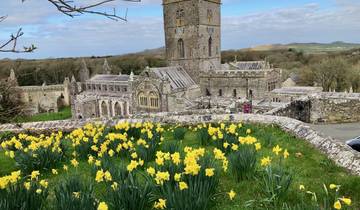 A beautiful cathedral with daffodils in the foreground.