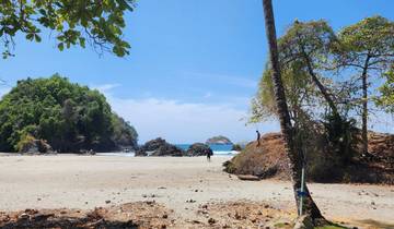 Scenic beach with trees and rocks under a blue sky.