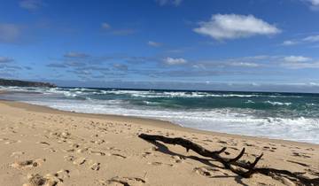 View of an empty sandy beach with a piece of driftwood.