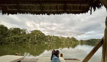 Relaxing riverside view with a canopy and lush forest in the background.