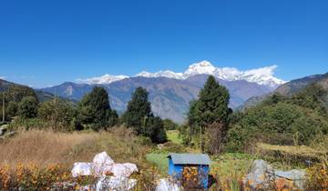 Panoramic view of a mountain range with vibrant wildflowers in the foreground.