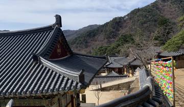 Traditional Korean temple rooftops with mountain in background.