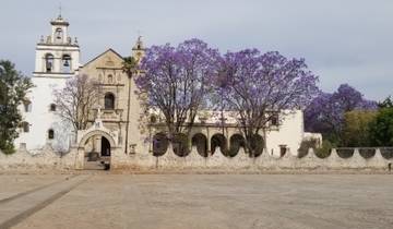 Historic church with purple flowering trees.