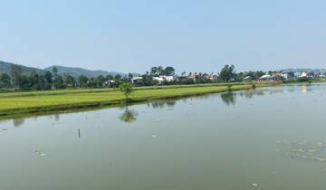 Scenic view of a river with trees and houses along the bank.