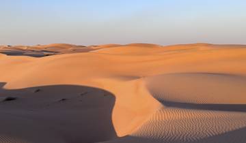 Golden sand dunes at sunset creating striking shadows.