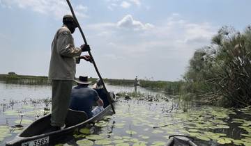 People on a canoe tour in a river with lush vegetation.