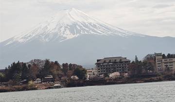 Mount Fuji with a lakeside view.