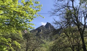 Mountain range with clear skies and surrounding trees.