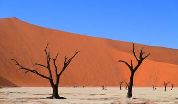 Tall sand dunes with dead trees in the foreground.