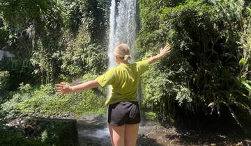 Person standing near a waterfall in a forest setting.