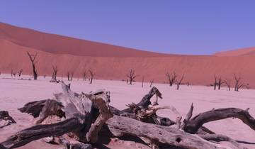 Desolate landscape with dead trees and red dunes.