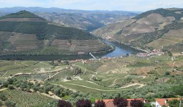 Scenic view of vineyards and a river winding through a valley.