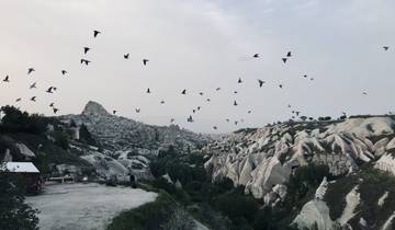 Rocky landscape with birds flying over.
