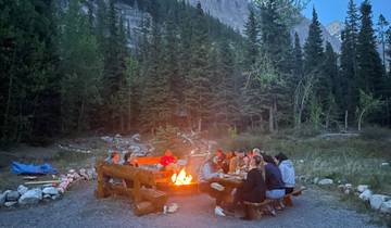 Group of people around a campfire in the woods at twilight.
