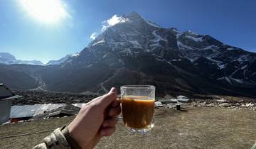 Hand holding a cup with mountain backdrop.