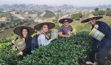 Tourists picking tea leaves in a plantation.