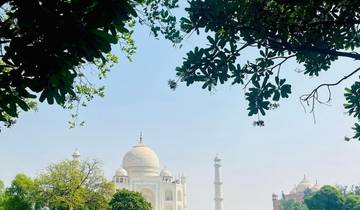 Taj Mahal framed by lush green trees under a clear blue sky.