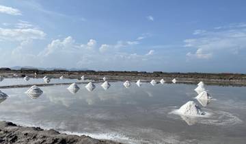 Salt mounds in a wetland field under a blue sky