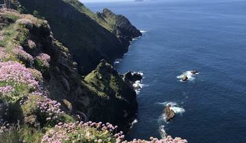Dramatic coastal cliffs with pink flowers