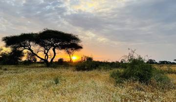 A sunset over a savannah landscape with acacia trees.